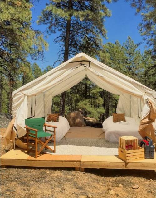 A cozy tent with two beds on a wooden platform, surrounded by tall pine trees and a clear blue sky.