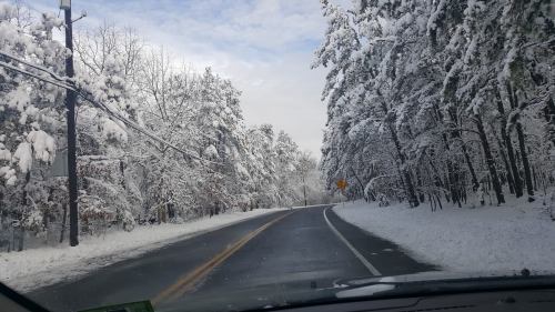 A snowy road lined with trees, creating a winter wonderland scene under a cloudy sky.