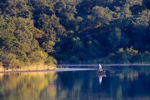 A lone fisherman in a small boat on a calm lake, surrounded by lush greenery and reflecting trees in the water.