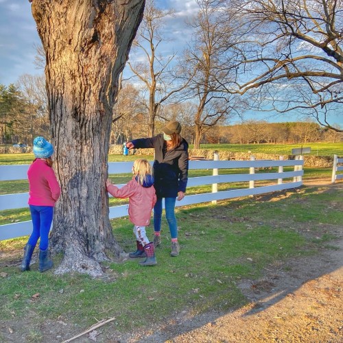 A woman and two children explore a large tree near a white fence on a sunny day.