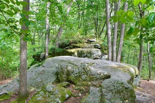 A moss-covered rock formation surrounded by lush green trees in a forested area.