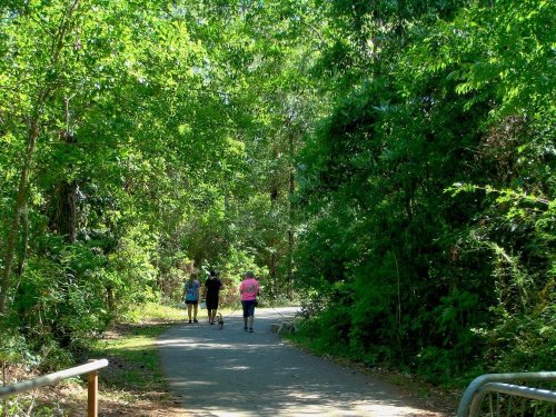 Three people walk along a shaded path surrounded by lush greenery and trees. A dog accompanies them.
