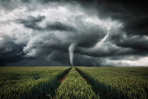 A tornado forms over a green field under dark, stormy clouds, with a path leading toward the swirling vortex.
