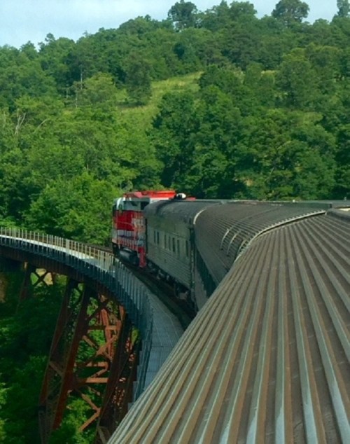 A red and silver train travels along a curved bridge surrounded by lush green trees and hills.
