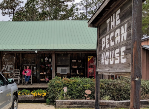 A rustic shop called "The Pecan House" with a green roof, featuring a porch and a sign, surrounded by flowers and trees.