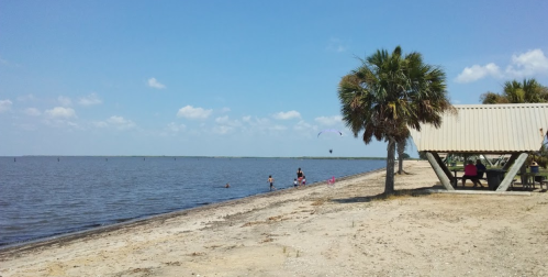 A sandy beach with palm trees, people swimming, and a picnic area under a shelter by the water on a sunny day.