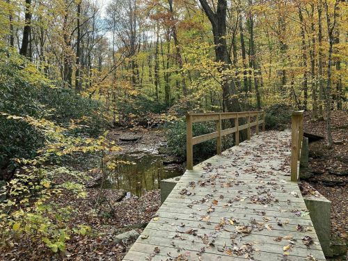 A wooden bridge over a small stream, surrounded by autumn foliage in a peaceful forest setting.