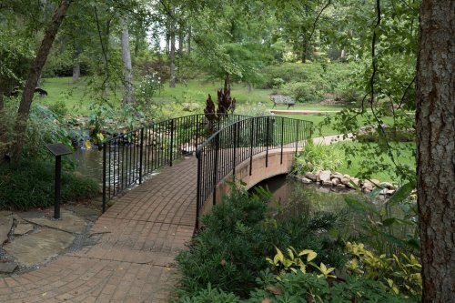 A curved wooden bridge with a black railing spans a serene garden pond, surrounded by lush greenery and plants.