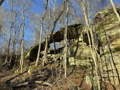 A rocky outcrop with a natural arch, surrounded by bare trees and blue sky in a forested area.