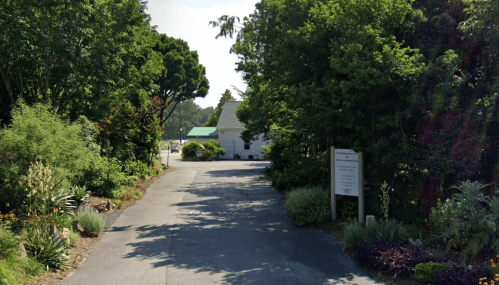 A tree-lined driveway leads to a small white building, surrounded by lush greenery and a sign at the entrance.