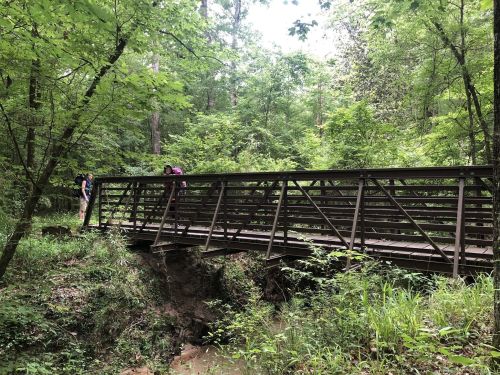 A wooden bridge spans a small creek in a lush green forest, with two people standing on it.
