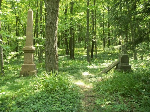 A serene forest scene featuring two gravestones surrounded by lush greenery and a narrow path.