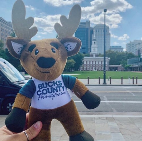 A plush moose toy wearing a "Bucks County, Pennsylvania" shirt, with a cityscape and historic building in the background.