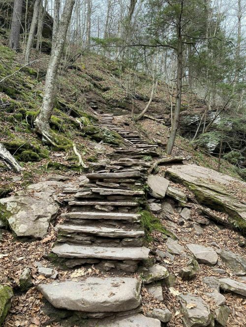 A rocky, moss-covered trail with wooden steps winding through a forested area.