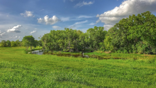 Lush green landscape with a serene pond surrounded by trees under a blue sky with fluffy clouds.