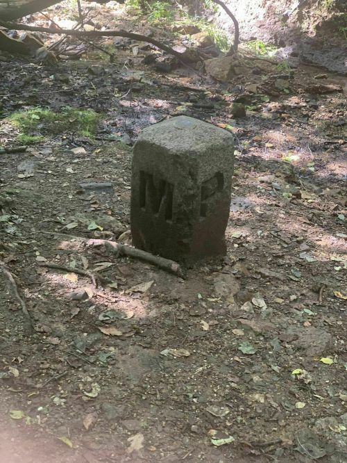 A weathered stone marker with the letters "MP" stands in a forested area, surrounded by dirt and fallen leaves.