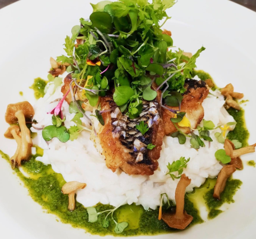 A plate of creamy risotto topped with grilled fish, fresh herbs, and edible flowers, drizzled with green sauce.