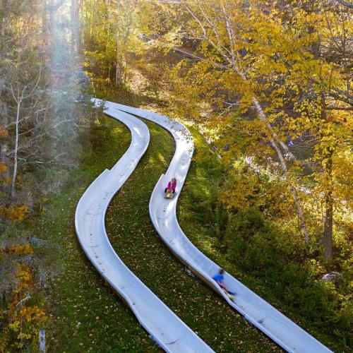 Two people slide down a winding, outdoor slide surrounded by colorful autumn trees.