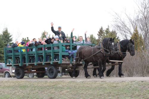 A group of people waves from a horse-drawn wagon on a rural road, surrounded by trees and parked vehicles.