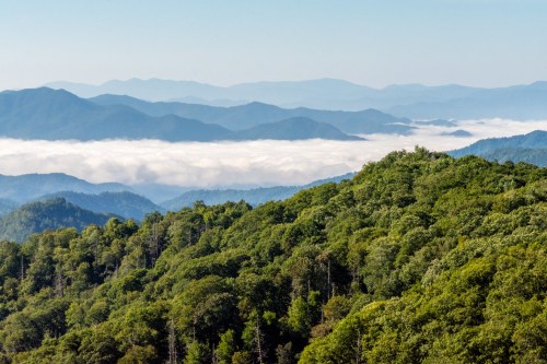 A panoramic view of lush green mountains with a sea of clouds in the valley below and distant peaks in the background.