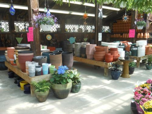 A variety of colorful flower pots and planters displayed on wooden shelves in a garden center.