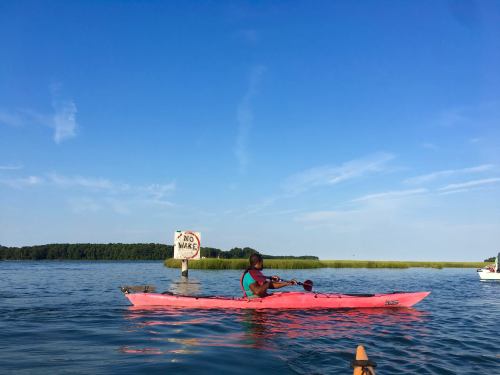 A person paddles a pink kayak on calm water near a "No Wake" sign, with green trees in the background under a clear blue sky.