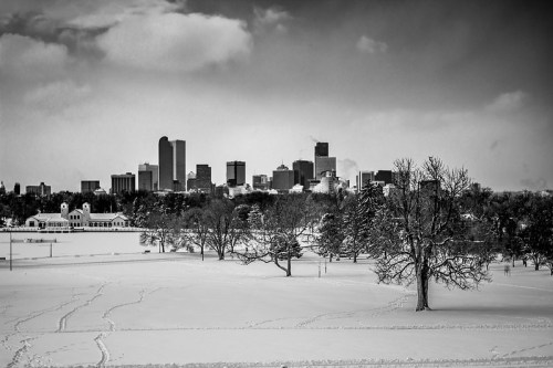 Black and white winter scene of a snowy landscape with a city skyline in the background. Trees dot the foreground.