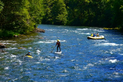 A person paddleboards on a river while two others enjoy a rafting trip nearby, surrounded by lush greenery.