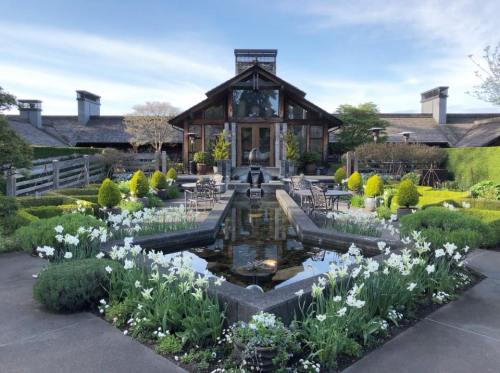 A serene garden with a pond, surrounded by blooming flowers and neatly arranged seating, leading to a rustic building.