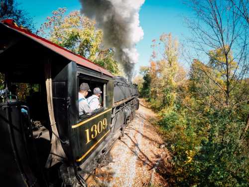 A steam train chugs along a colorful autumn landscape, with smoke billowing from its chimney. Two passengers are visible.