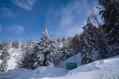 Snow-covered trees surround a green sign reading "SUMMIT 9114 FT" against a blue sky with scattered clouds.
