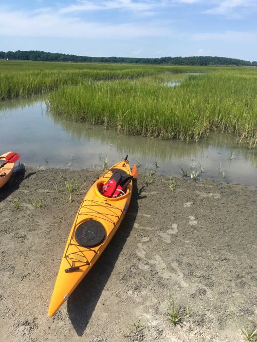 A bright orange kayak rests on a sandy shore, surrounded by tall green grass and calm water under a clear blue sky.