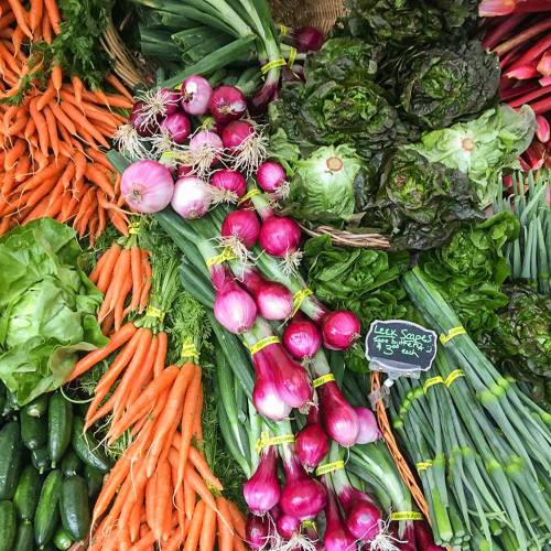 A vibrant display of fresh vegetables, including carrots, onions, lettuce, and leeks, arranged in a market setting.