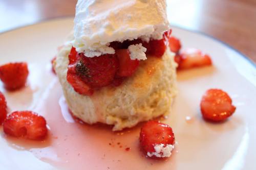 A biscuit topped with whipped cream and fresh strawberries, drizzled with strawberry syrup, on a white plate.