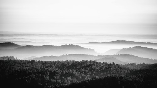 Black and white landscape of misty mountains and forests, creating a serene and atmospheric view.