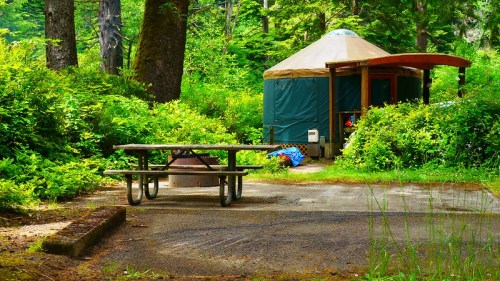 A yurt surrounded by lush greenery, with a picnic table and fire pit in a serene camping area.