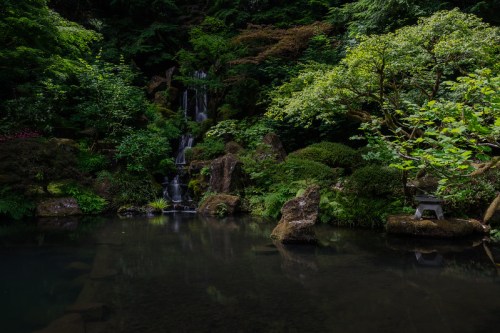 A serene garden scene featuring a waterfall cascading into a tranquil pond, surrounded by lush greenery and rocks.