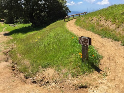 A dirt path curves through green grass, with a wooden signpost indicating trail directions and distances.
