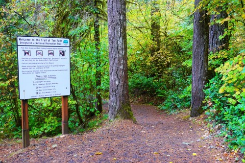 A forested trail entrance with a sign about the Trail of Ten Falls, surrounded by vibrant autumn foliage.