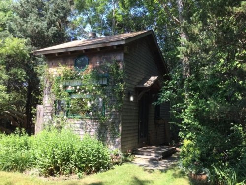 A charming wooden cottage surrounded by lush greenery and vines, with a small porch and a peaceful garden.