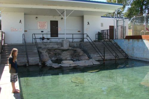 A child stands by a shallow pool with rocks, near a building with a door and signs, surrounded by a fenced area.