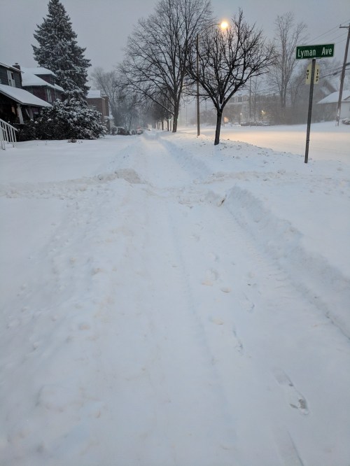 A snowy street scene with deep snow drifts and a street sign for Lyman Ave, trees in the background, and a gray sky.