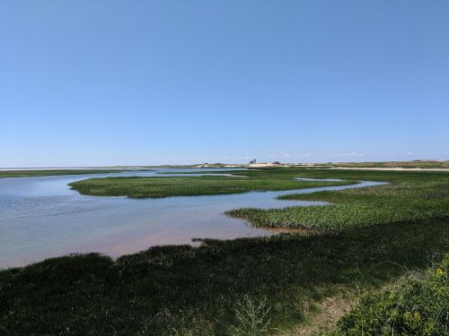A serene landscape featuring a winding waterway surrounded by lush green grass under a clear blue sky.