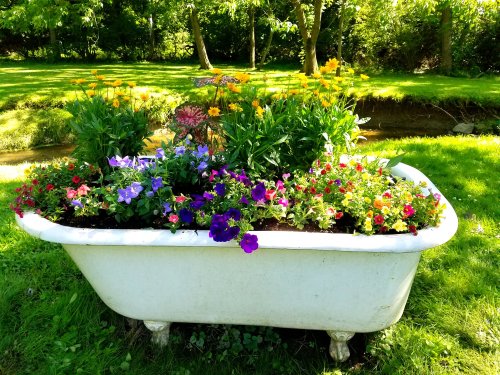 A vintage bathtub filled with colorful flowers, surrounded by lush greenery and a small stream in the background.