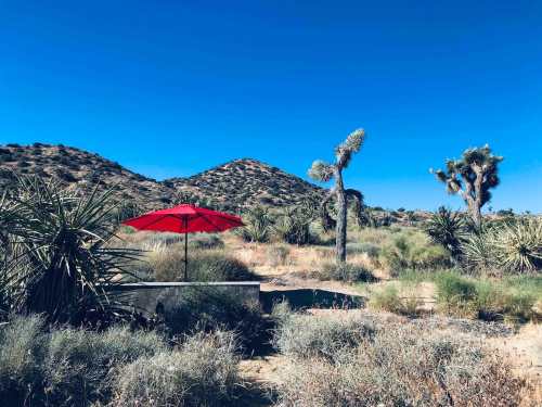 A red umbrella stands in a desert landscape with sparse vegetation and distant mountains under a clear blue sky.