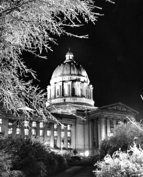 Historic building with a large dome, illuminated at night, surrounded by frosty trees.