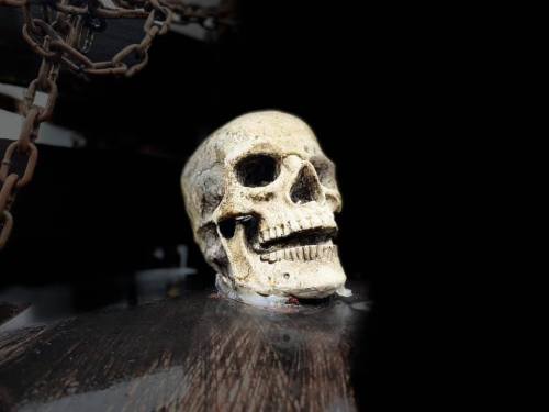 A close-up of a skull resting on a dark surface, partially illuminated, with chains in the background.