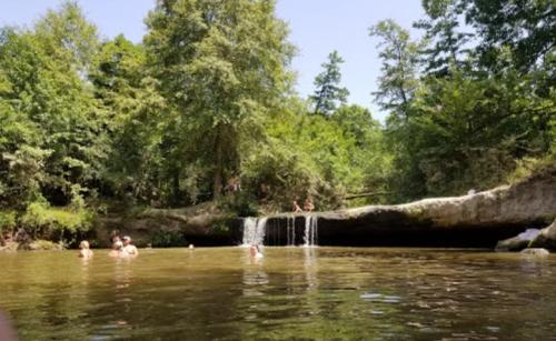 A serene natural scene featuring a small waterfall and people swimming in a clear, calm pool surrounded by lush greenery.