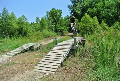 A mountain biker jumps off a wooden ramp on a trail surrounded by greenery and trees.