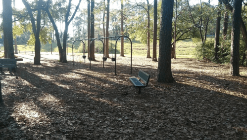 A quiet park scene with swings and a bench surrounded by trees and fallen leaves in soft sunlight.